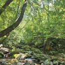 영월읍-3(연하계곡1) 이미지