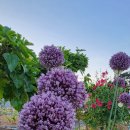 하삼경로당 이미지