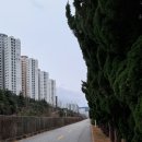 낙동대로 1739번길 이미지