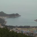 미라리 상록수림 해변 이미지