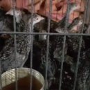 대요농장 이미지