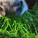 도청축사 이미지