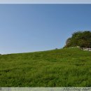 서정목장 이미지