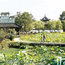 신선만나 이미지