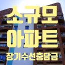 대부수선 이미지