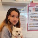 사랑받개 이미지