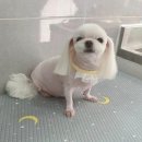 은마로동물병원 이미지