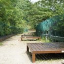 민주지산자연휴양림야영장 네이버블로그
