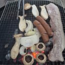 화천 [평화의댐 오토캠핑장] 카라반 1박 솔직 후기