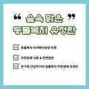 숲에서 온 유정란 이미지