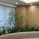 서울이랑드치과의원 이미지