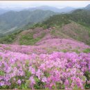 5월1일(토요일) 남원 봉화산(烽火山. 920m) 월경산 철쭉산행 이미지