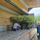 조경농장 이미지