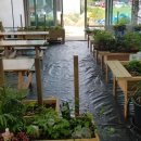 강정보여울협동조합 이미지