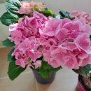 서울농약사 이미지