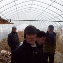 용헌농장 Daum카페