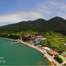 완도 맹선리 상록수림 이미지