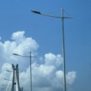 핑스애견펜션 이미지