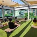 웰컴댕댕 이미지