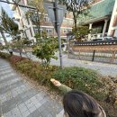 교동 닭강정 이미지