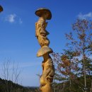 명품소나무길 이미지