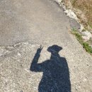학동 흑진주 몽돌해변에서 다대마을까지 걸어가기, 그리고 바람의 핫도그 후기(2019년 11월) 거제도 걷기