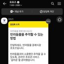 포포즈 반려동물장례식장 양주점 이미지