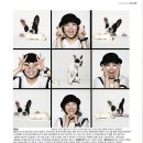 b.b.pet 이미지