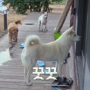 산책민박 이미지