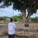 영화당 | 인천점집 영화당 방문 후기: 진심 어린 위로와 조언을 얻었어요!