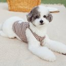 강한우리동물병원 이미지