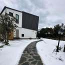 비자노아 이미지