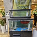 맛집 찾아 떠나는 여행_삼전역] 매콤한게 계속 먹게 되는 진정한 낙지볶음 맛집 한나낙지마당 잠실동직영점