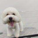 쁘니살롱