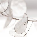 화이트앤블루의원 이미지