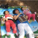 용유동사무소 이미지