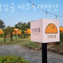 안녕감귤 제주독채펜션 이미지