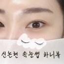 [신논현역속눈썹펌 추천] 신논현속눈썹 하니뷰 L컬 후기