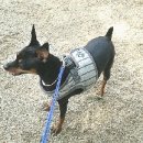 콩양