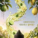 알와이오 (RYO) 네이버블로그
