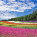 호수풍경 이미지