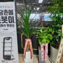 소담촌 운정점 이미지