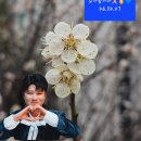 RE:(26.02.27 삼척 정월대보름제)마이진 가수님 멘트모음 💙 이미지