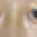 람쥐야 도토리 | 호로록 말아온 일기