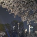 서구청역 이미지