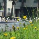 제주소랑 네이버블로그