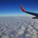 불로초목장 이미지