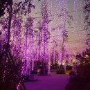 애니카랜드 계산점 이미지