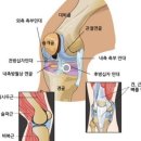 무릅보호대를 통해 알게된 진실 이미지