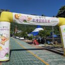 송계2리 마을회관 | 제천 송계양파축제 방문기